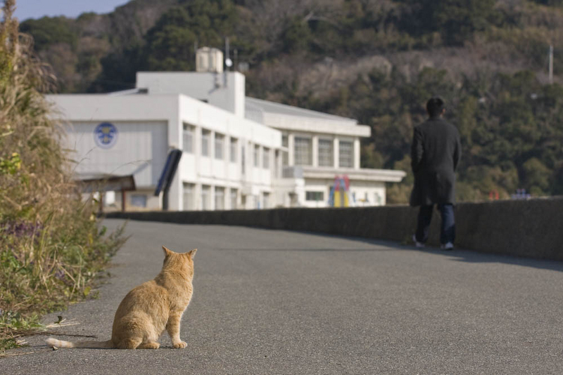 f:id:fubirai:20080214215943j:image