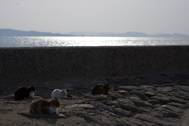 f:id:fubirai:20080316233006j:image