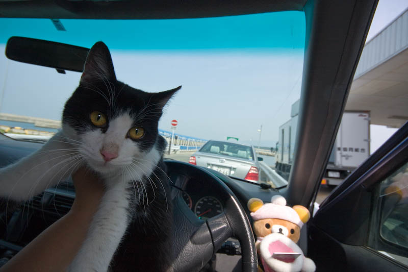 f:id:fubirai:20080401231929j:image