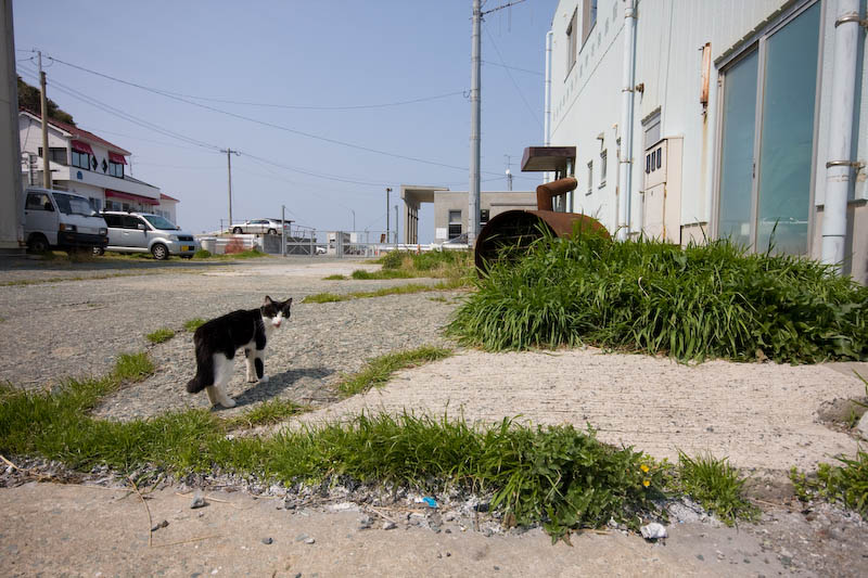 f:id:fubirai:20080401231933j:image