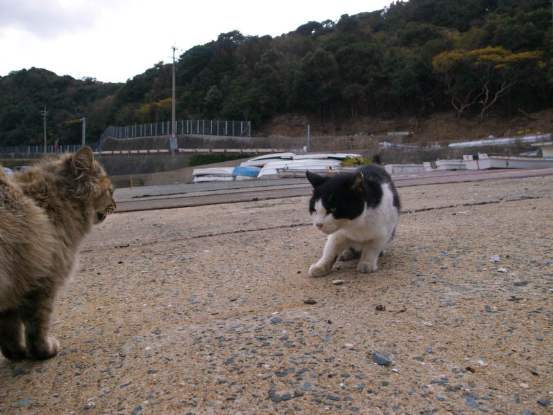 f:id:fubirai:20080407230343j:image
