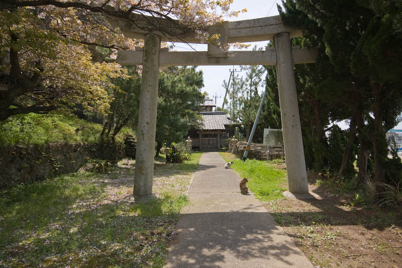 f:id:fubirai:20080417225538j:image