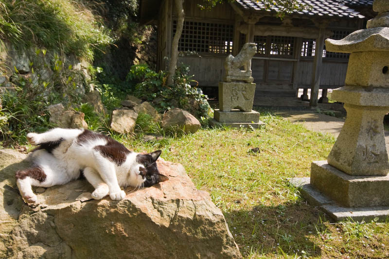 f:id:fubirai:20080419232322j:image