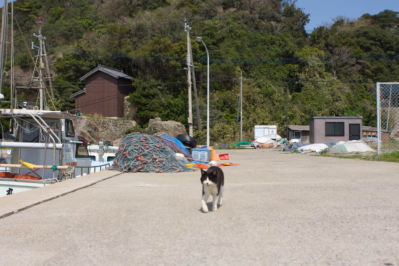 f:id:fubirai:20080425202207j:image