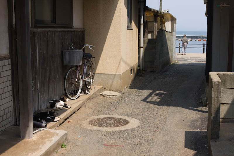 f:id:fubirai:20080513231825j:image