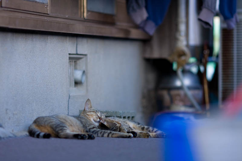 f:id:fubirai:20081002230645j:image