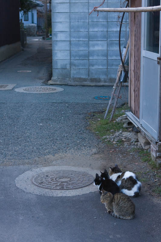 f:id:fubirai:20081201232712j:image