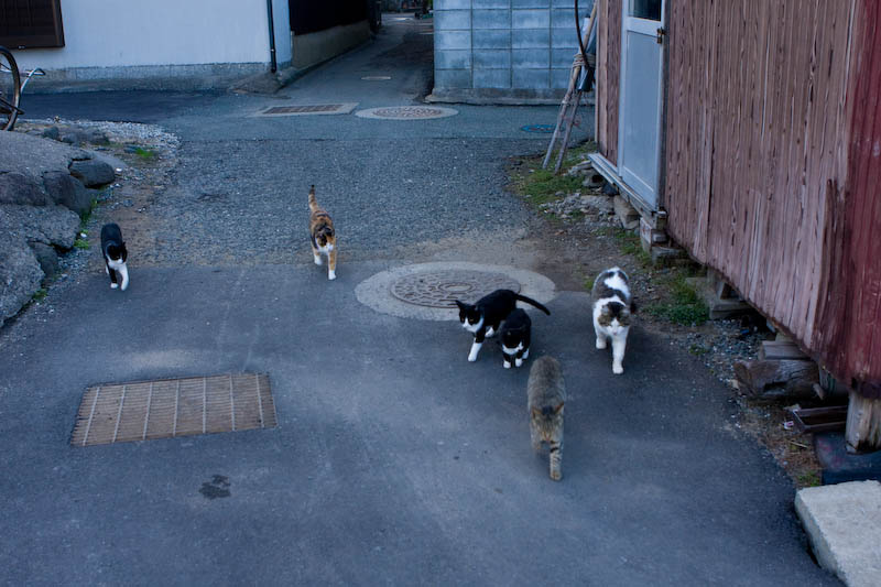 f:id:fubirai:20081201232714j:image