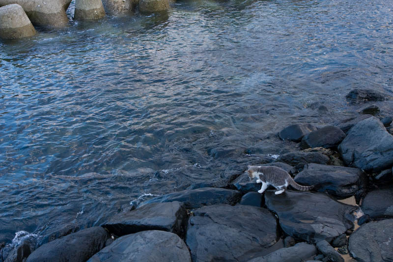 f:id:fubirai:20081205202300j:image