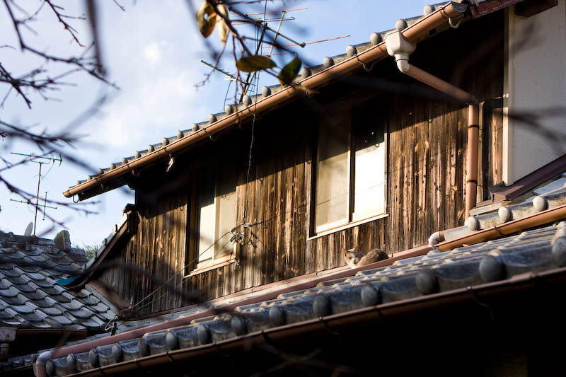 f:id:fubirai:20081207225300j:image