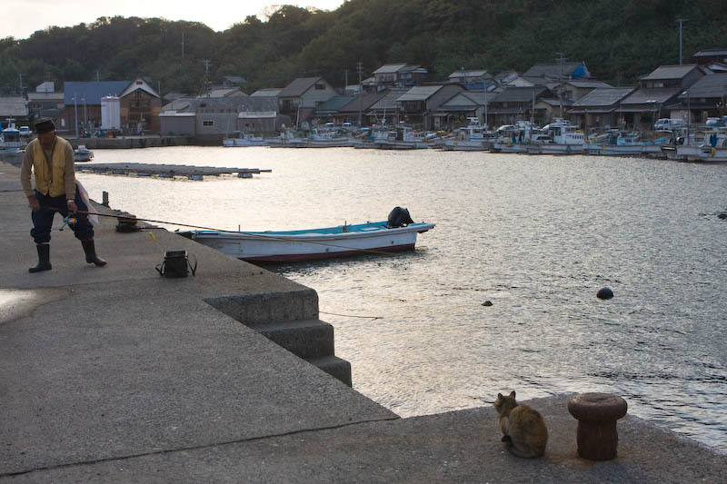 f:id:fubirai:20081209233457j:image