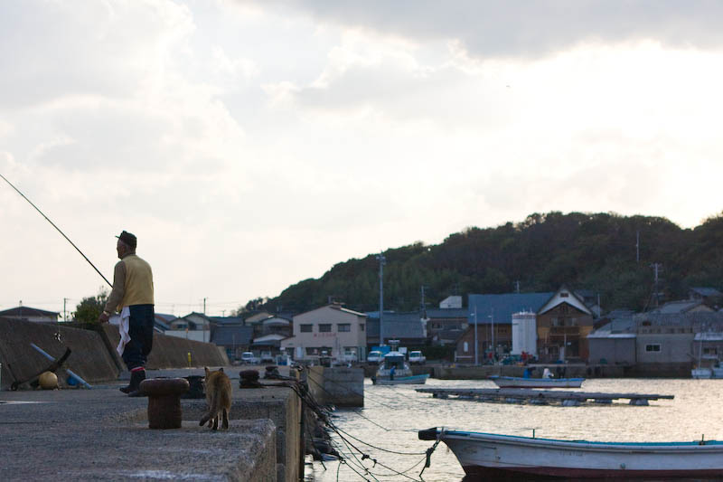 f:id:fubirai:20081209233458j:image