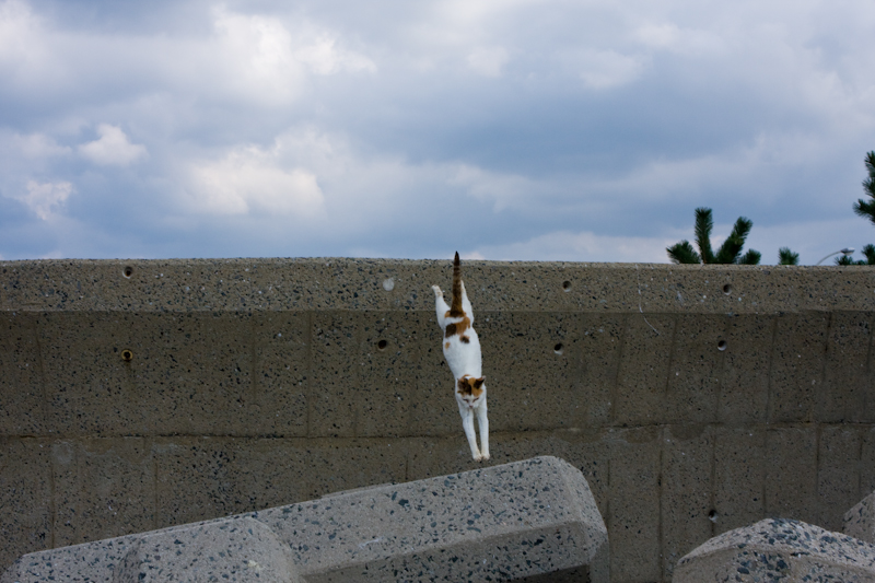 f:id:fubirai:20081225232928j:image