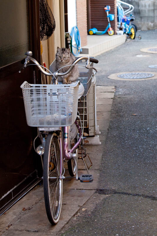 f:id:fubirai:20090220230300j:image