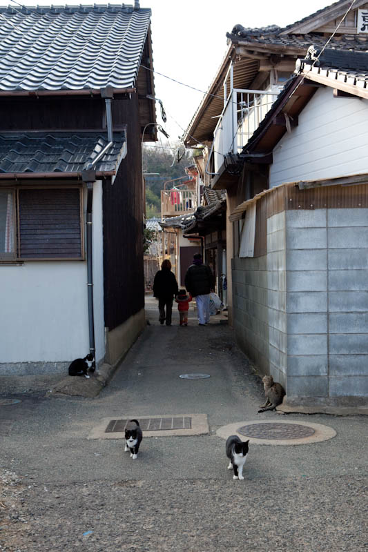 f:id:fubirai:20090226231838j:image