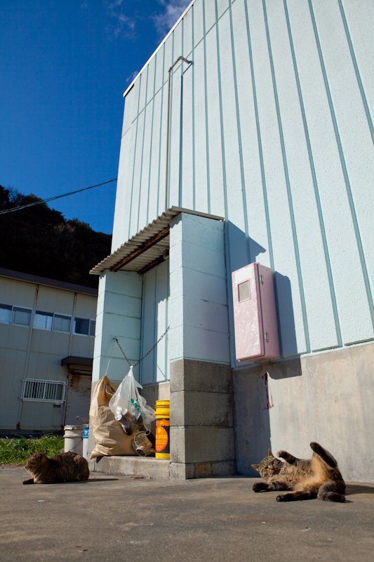 f:id:fubirai:20090306220214j:image