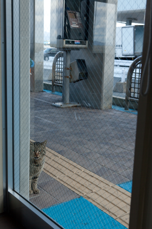 f:id:fubirai:20090306230852j:image