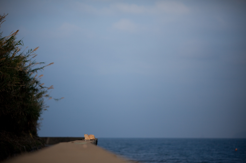 f:id:fubirai:20090310225606j:image