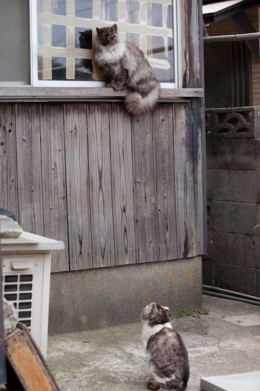 f:id:fubirai:20090423230327j:image