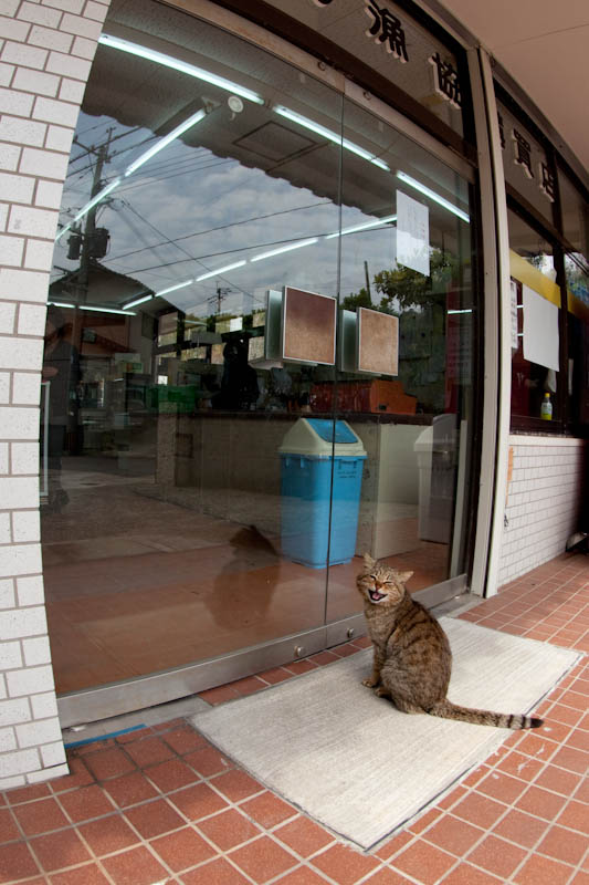 f:id:fubirai:20090423230331j:image