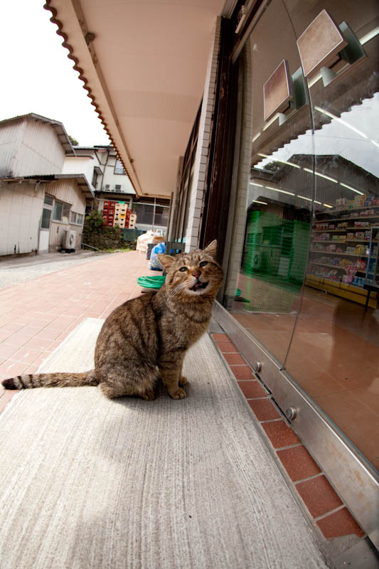 f:id:fubirai:20090423230332j:image