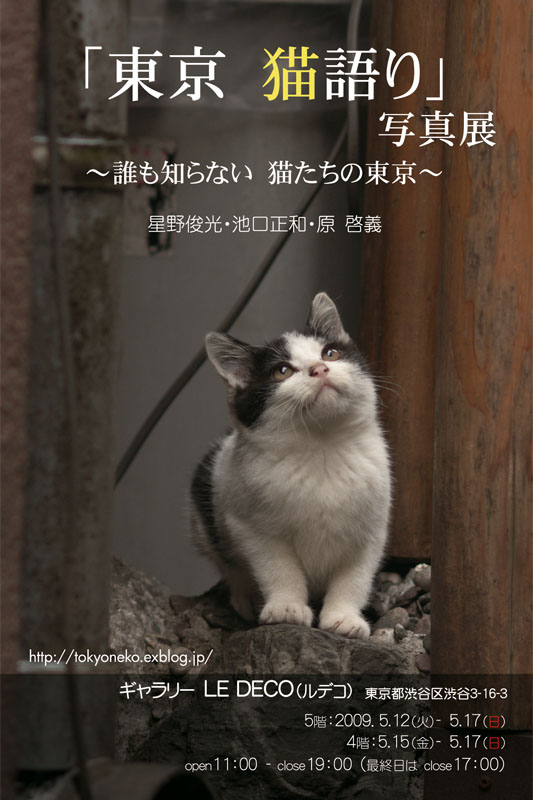 f:id:fubirai:20090506224446j:image