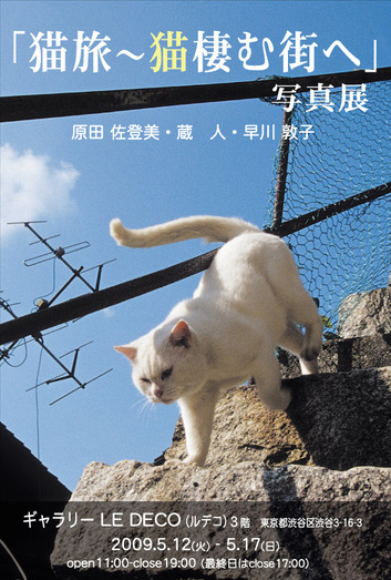 f:id:fubirai:20090506224556j:image