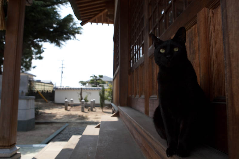 f:id:fubirai:20090508212827j:image