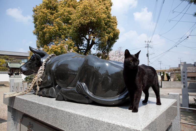 f:id:fubirai:20090508212828j:image