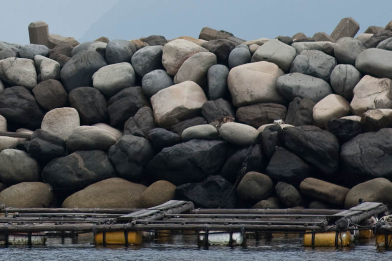 f:id:fubirai:20090711231650j:image