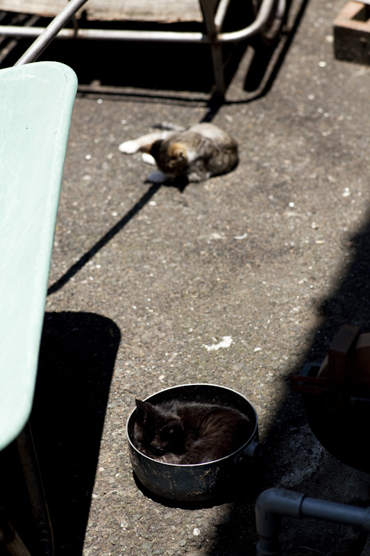 f:id:fubirai:20090901233243j:image