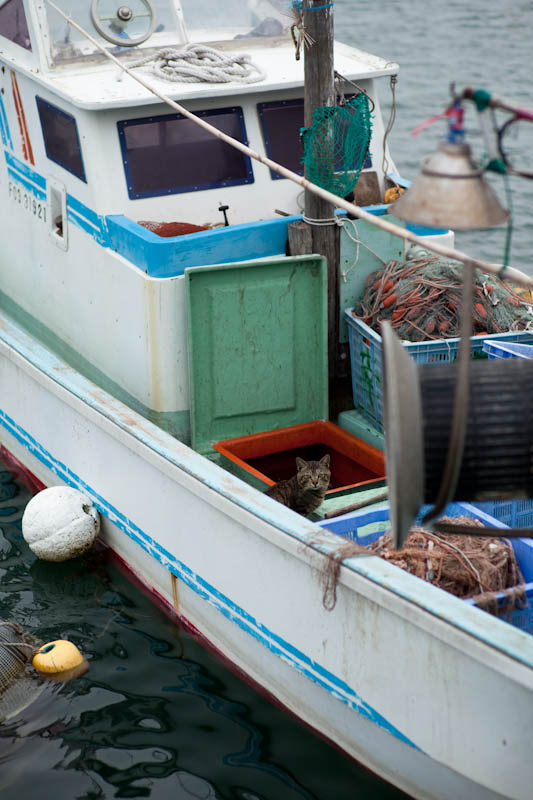 f:id:fubirai:20090911224958j:image