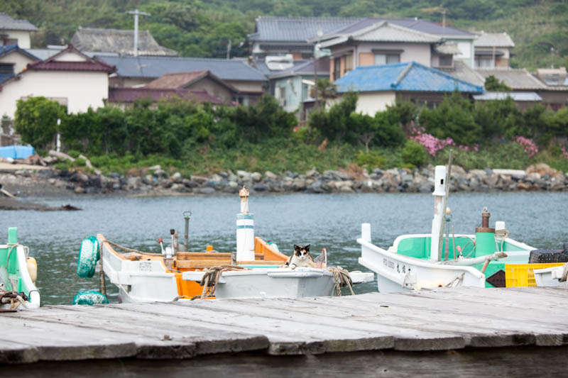 f:id:fubirai:20090913231239j:image