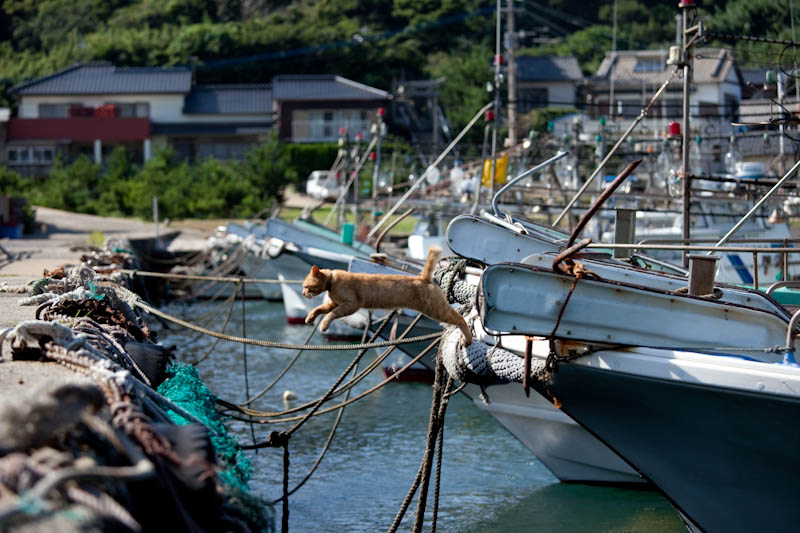f:id:fubirai:20090915230152j:image