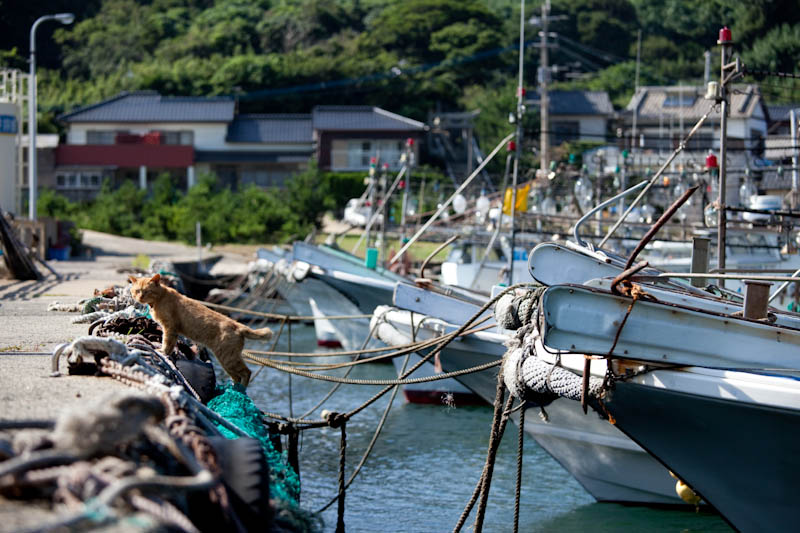 f:id:fubirai:20090915230404j:image