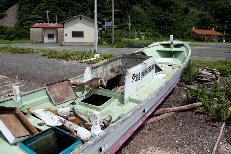 f:id:fubirai:20090927224318j:image