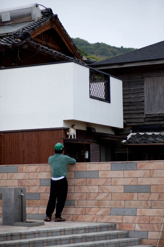 f:id:fubirai:20091120215826j:image