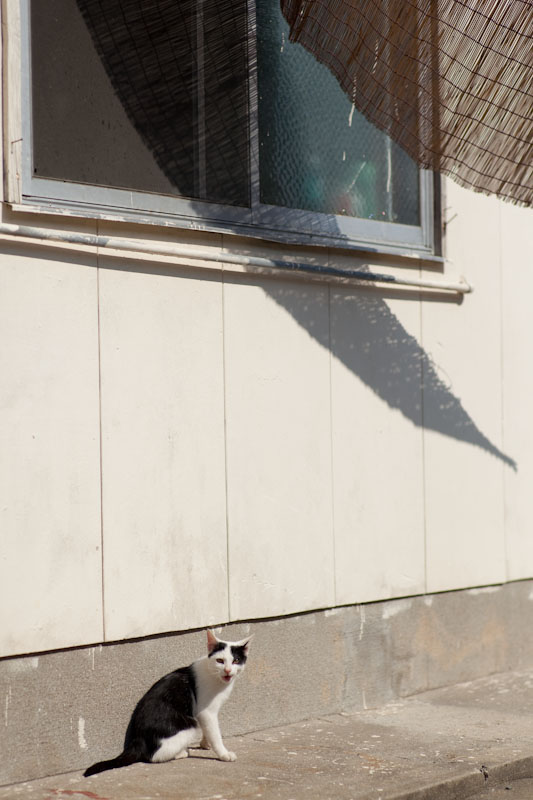f:id:fubirai:20100227232902j:image