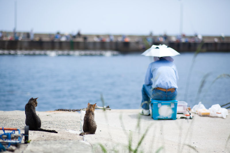 f:id:fubirai:20100331231621j:image
