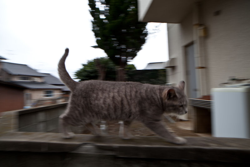 f:id:fubirai:20100426231408j:image