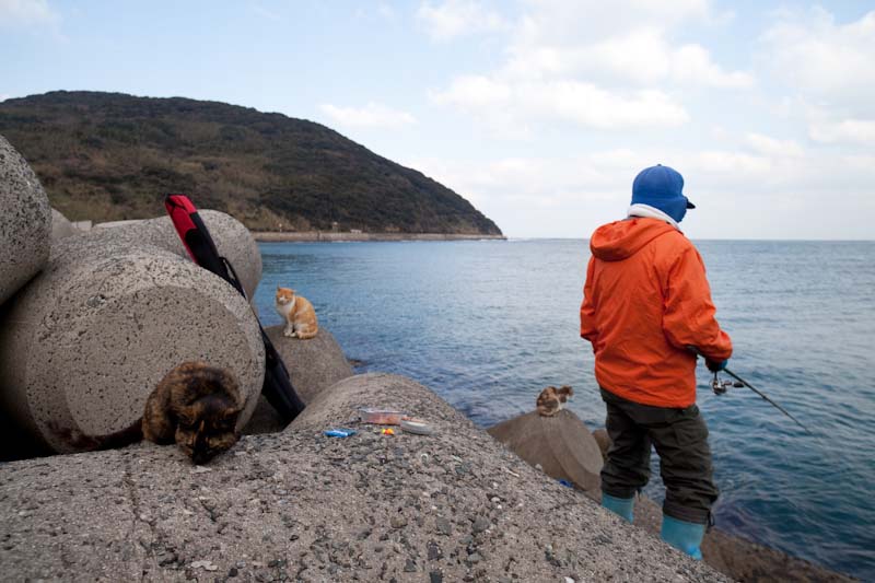 f:id:fubirai:20100516230032j:image