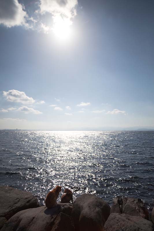 f:id:fubirai:20100619232030j:image