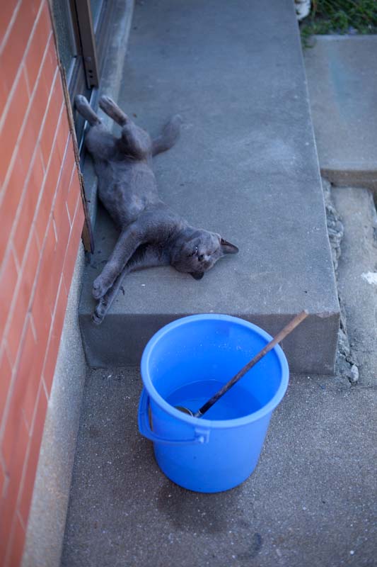 f:id:fubirai:20100901234950j:image