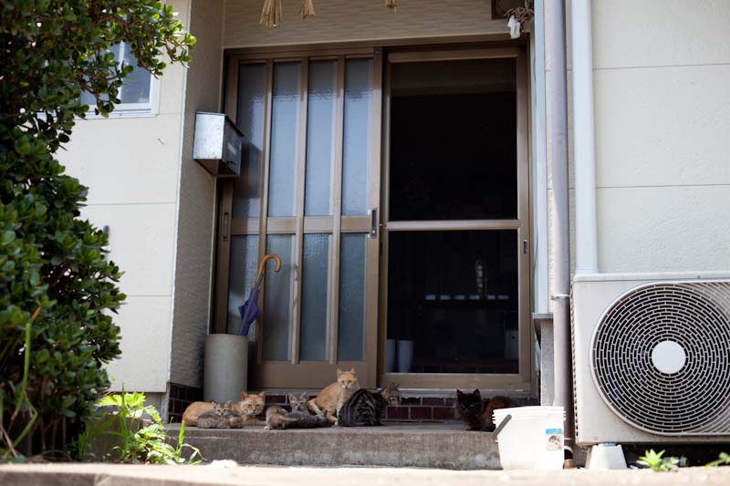 f:id:fubirai:20100907232657j:image