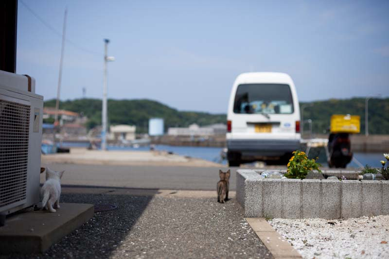 f:id:fubirai:20100913233835j:image