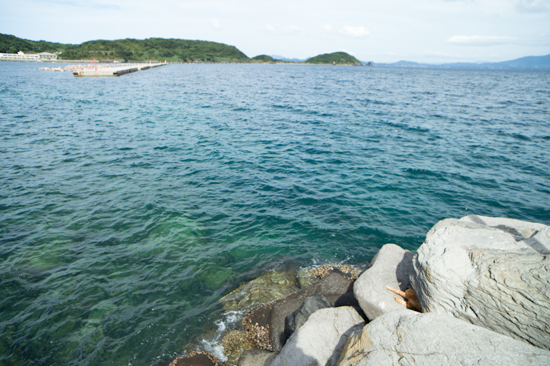 f:id:fubirai:20100919233618j:image