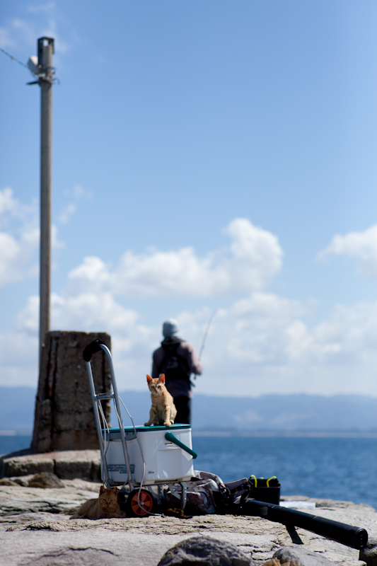 f:id:fubirai:20100921235034j:image