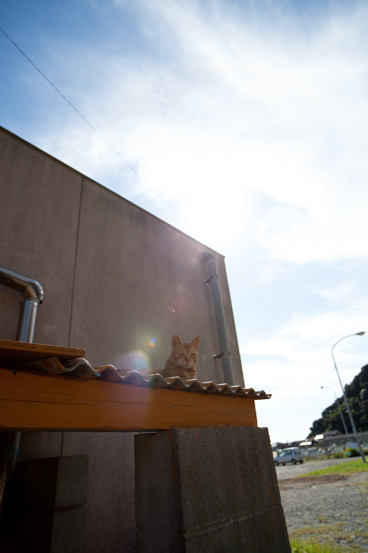 f:id:fubirai:20100925232914j:image