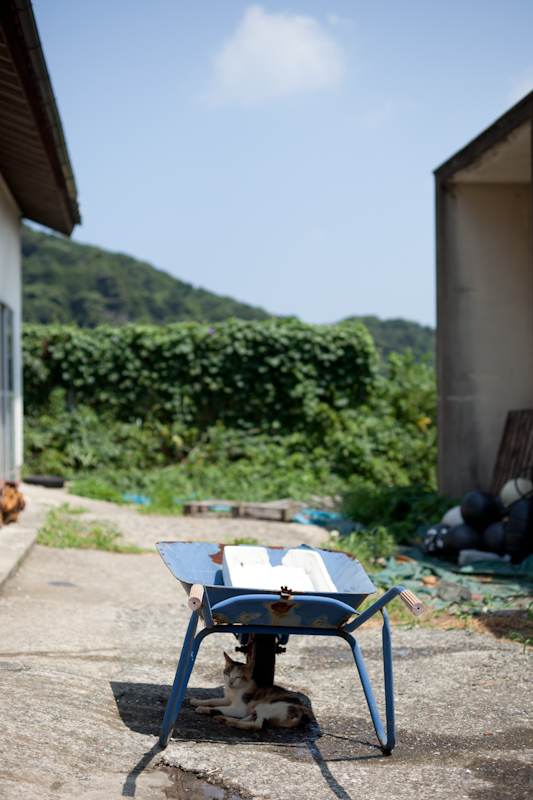 f:id:fubirai:20100927225119j:image