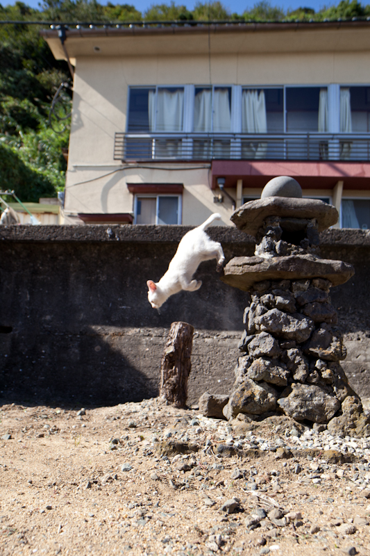 f:id:fubirai:20110210230503j:image